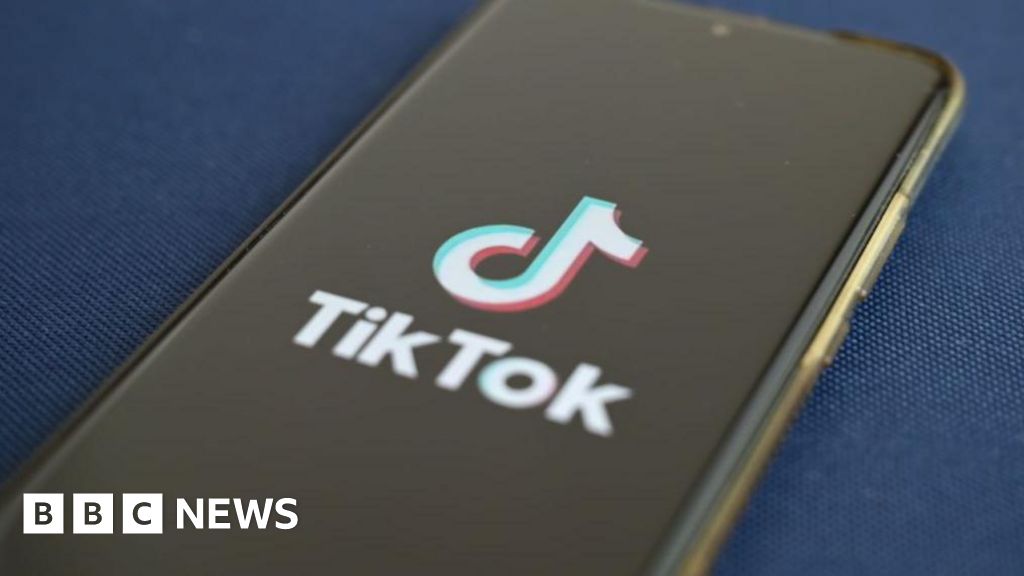 Pakistan: US teen shot dead by father over TikTok videos