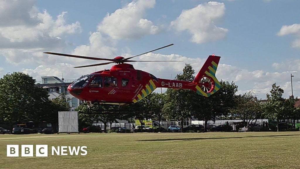 Children among casualties after tree falls in park