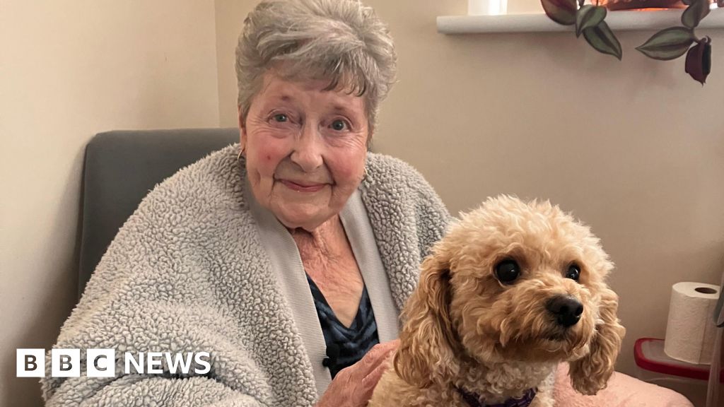 The home care team in Hampshire keeping patients out of hospital