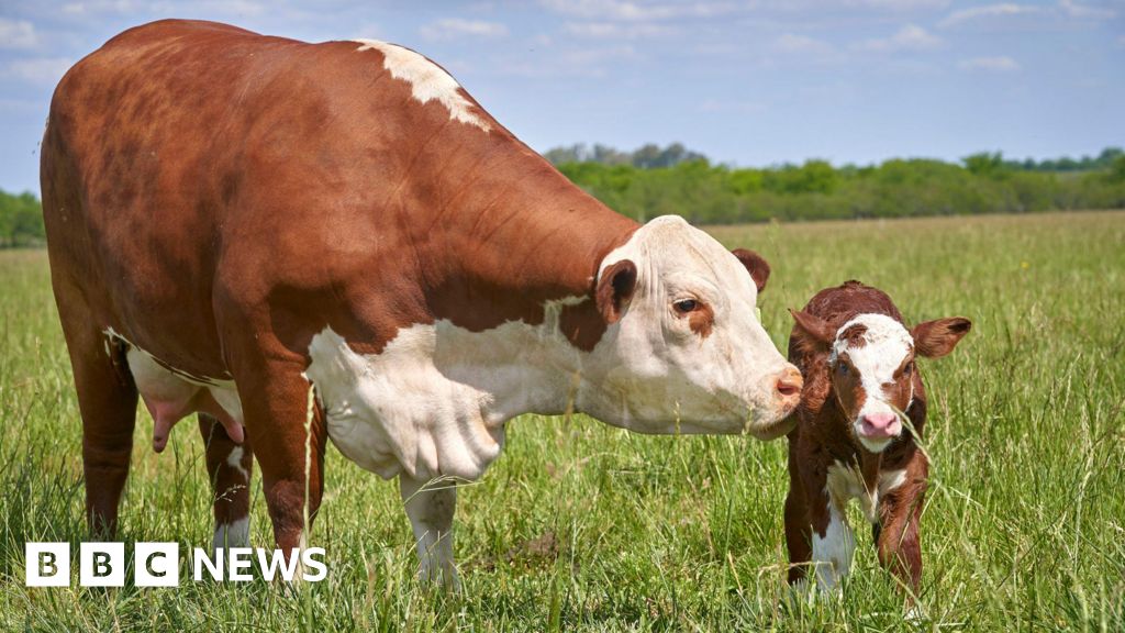 Rise in rural crime costs a 'serious wake-up call' for farmers - union