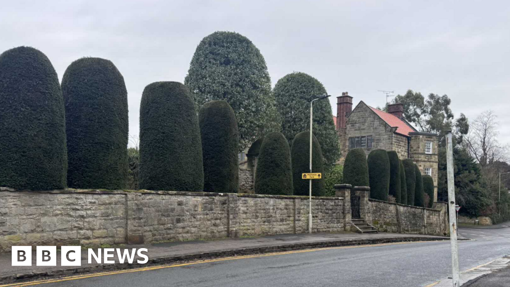 bbc.co.uk - Anttoni James Numminen - Hotel plans for large property in Scalby - BBC News