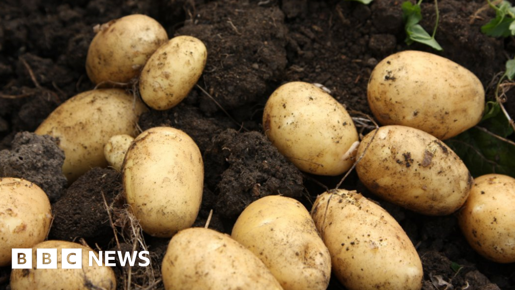 Group given £1.5m to redistribute surplus food
