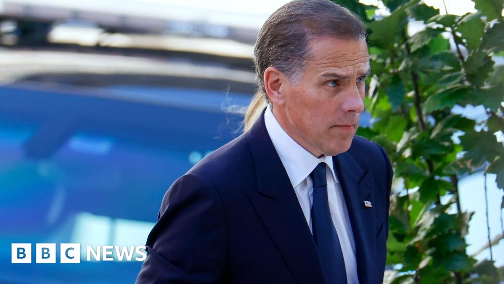Hunter Biden 'crossed line' when he bought gun, trial hears