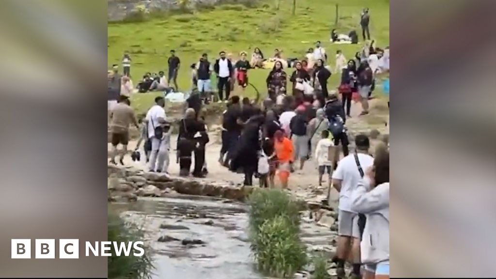 Dovedale: Peak District beauty spot sees mass brawl - BBC News