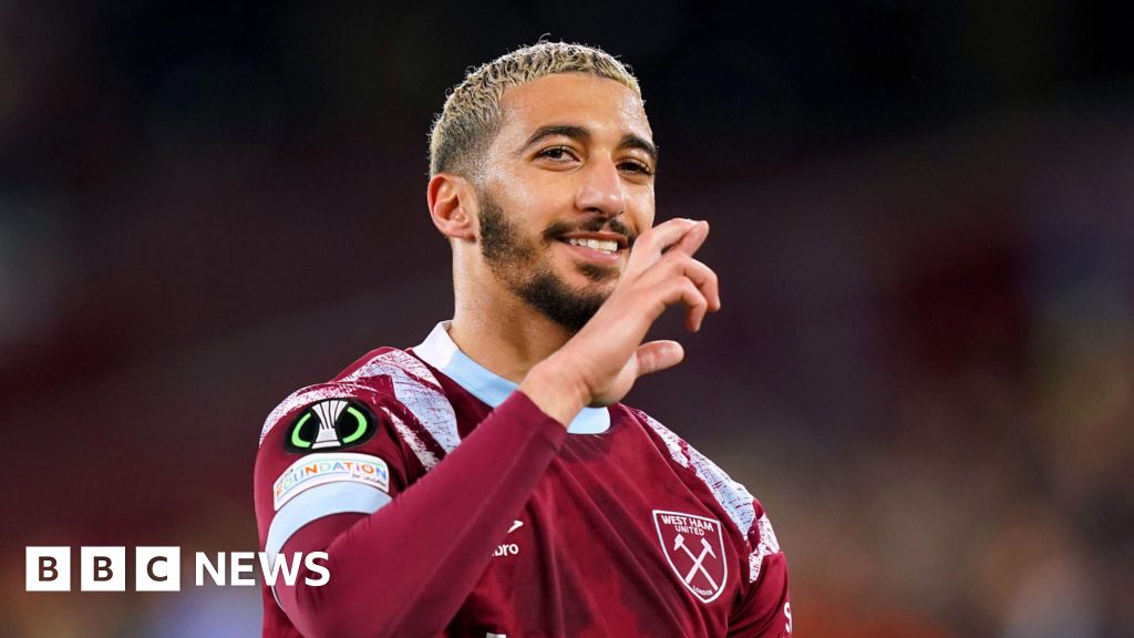 Footballer Said Benrahma fined over dog attack