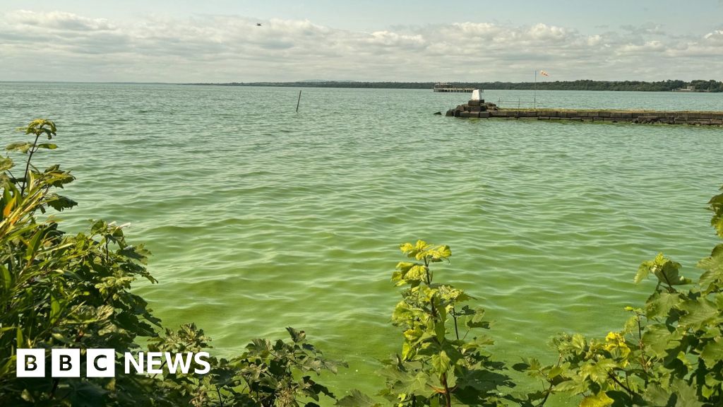 Blue-green Algae Blooms Pose Health Risks