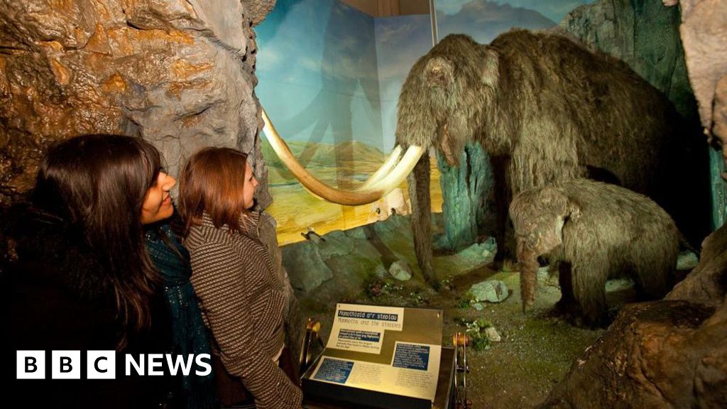 Cardiff: The seven wonders of Wales' national museum - BBC News
