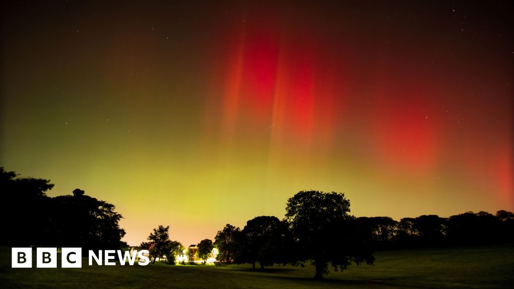 West Midlands photographers reveal their perfect moments of 2024
