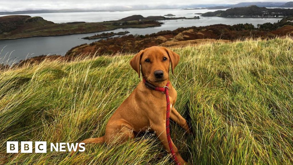 Your pictures of Scotland: Photographs from around the country