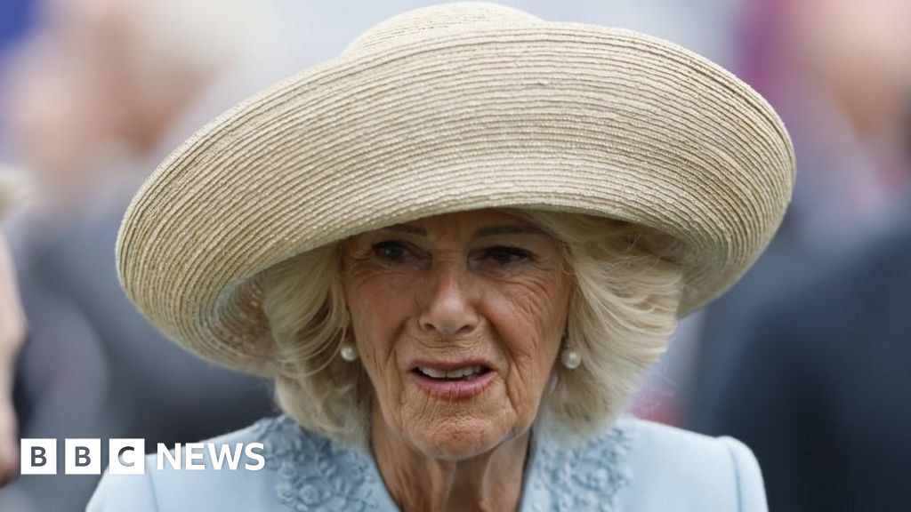 Camilla fought off attempted indecent assault as teenager, book says thumbnail