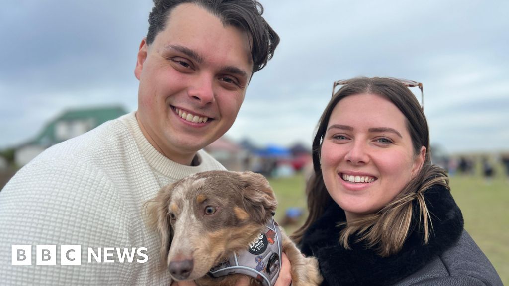 One thousand sausage dogs meet on beach