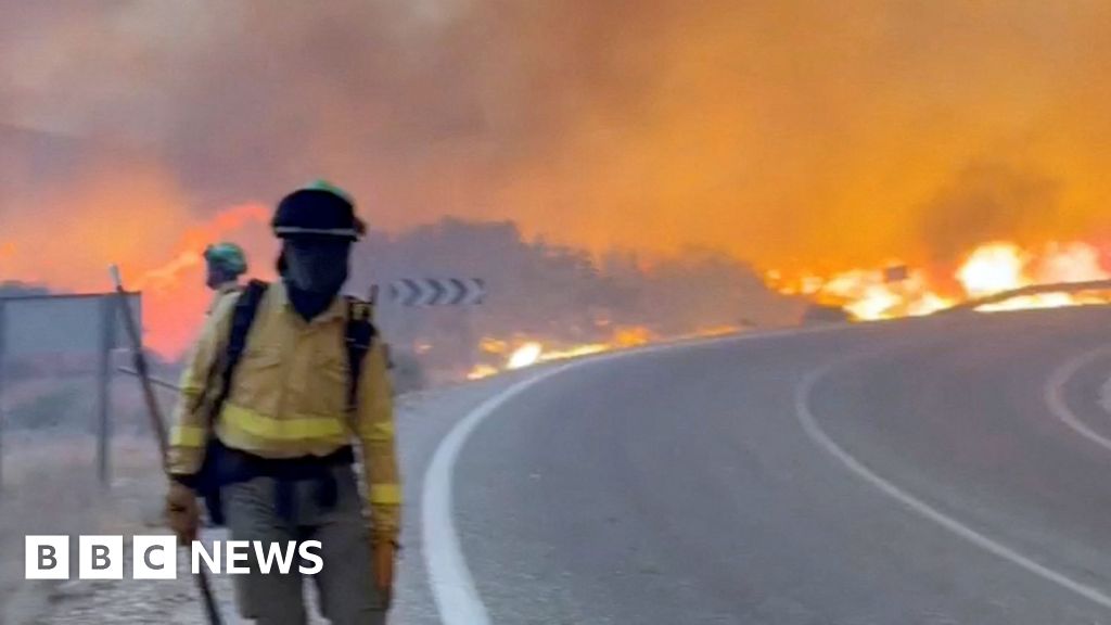 A masked emergency worker stands next to a road in Almería, Spain as a wildfire rages behind them