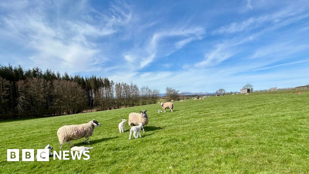 Scotland's hottest day of 2026 just two days after snowfall