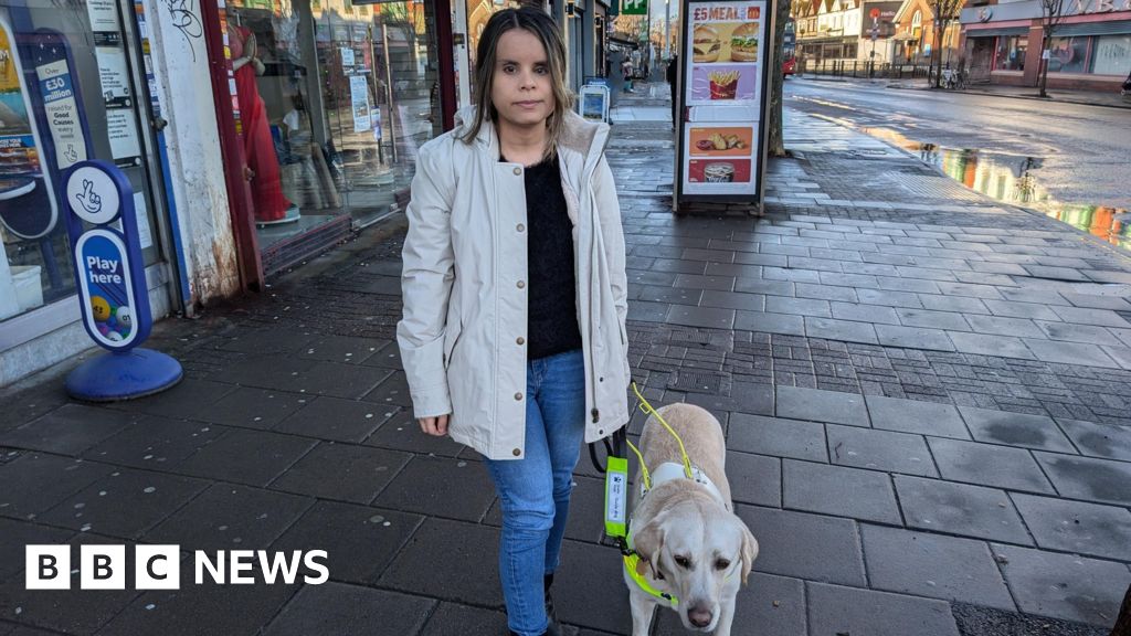 Councillor fights guide dog access refusals