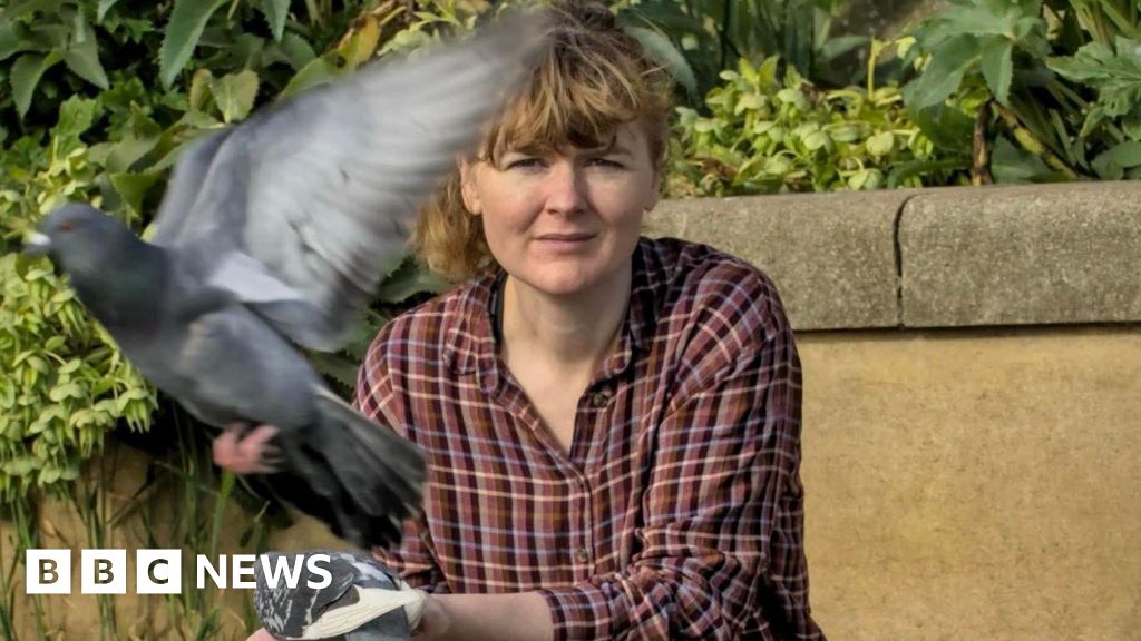 bbc.co.uk - Robby West - Pigeons feeders at Norwich Market selfish, says council - BBC News