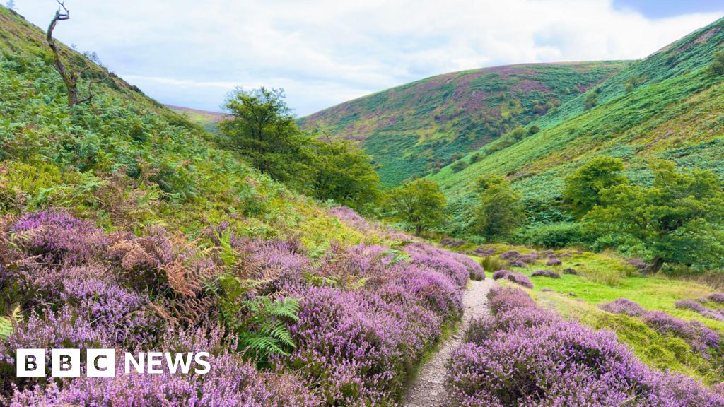How do you restore the wild spaces of a corner of England?
