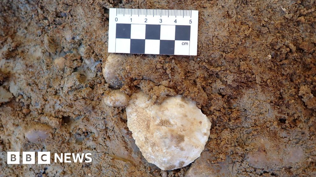 Oxford A34: Prehistoric tools unearthed near major Abingdon road