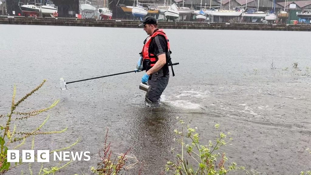 Totnes swim site pollution at 20 times acceptable level – tests