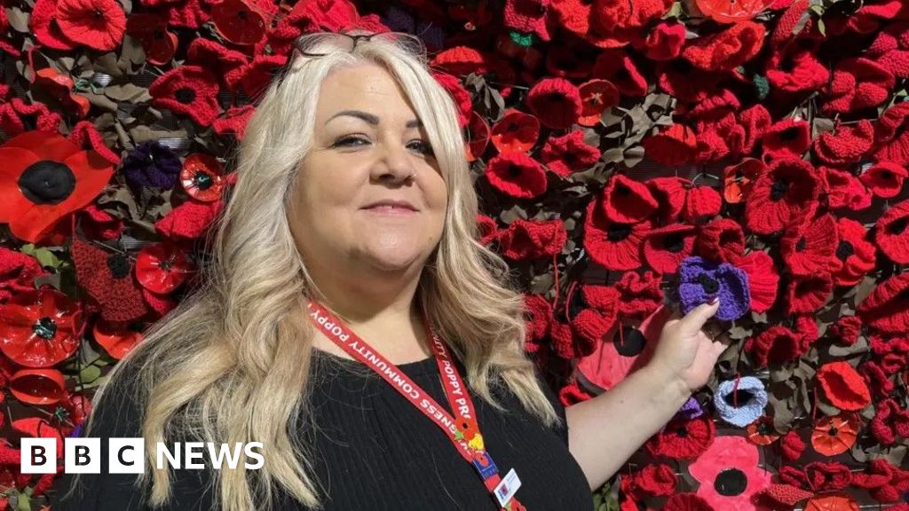 Skegness Remembrance Day poppy display aims to triple in size - BBC News