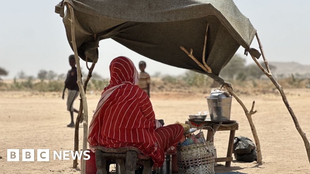 Sudanese eating charcoal and leaves to survive, aid agency warns