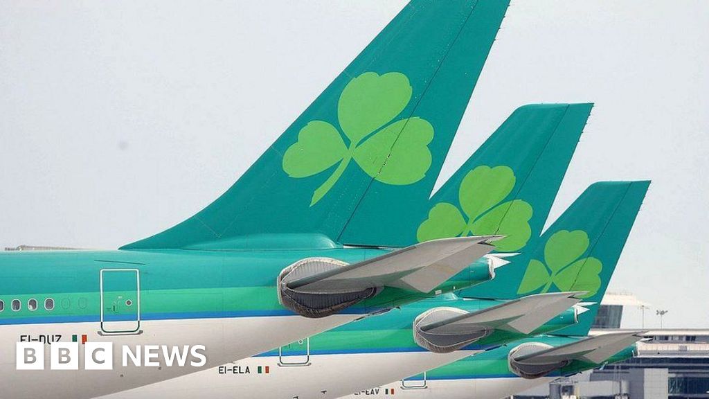 Aer Lingus to cancel 10-20% of flights during pilots’ action