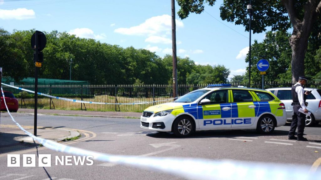 East Ham: Man stabbed to death and two teens hurt in park fight