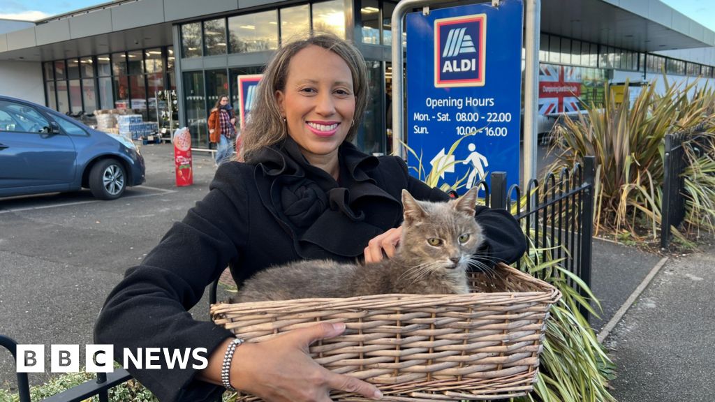 Police called after Bingham Aldi cat triggered store alarm Curated by Alerts360