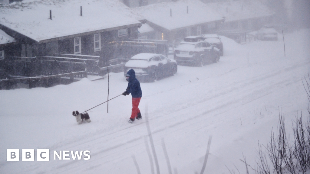 Двама загинаха в Швеция при голяма буря, връхлетяла скандинавските страни