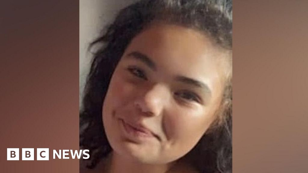 Man guilty of murder over girlfriend van crush
