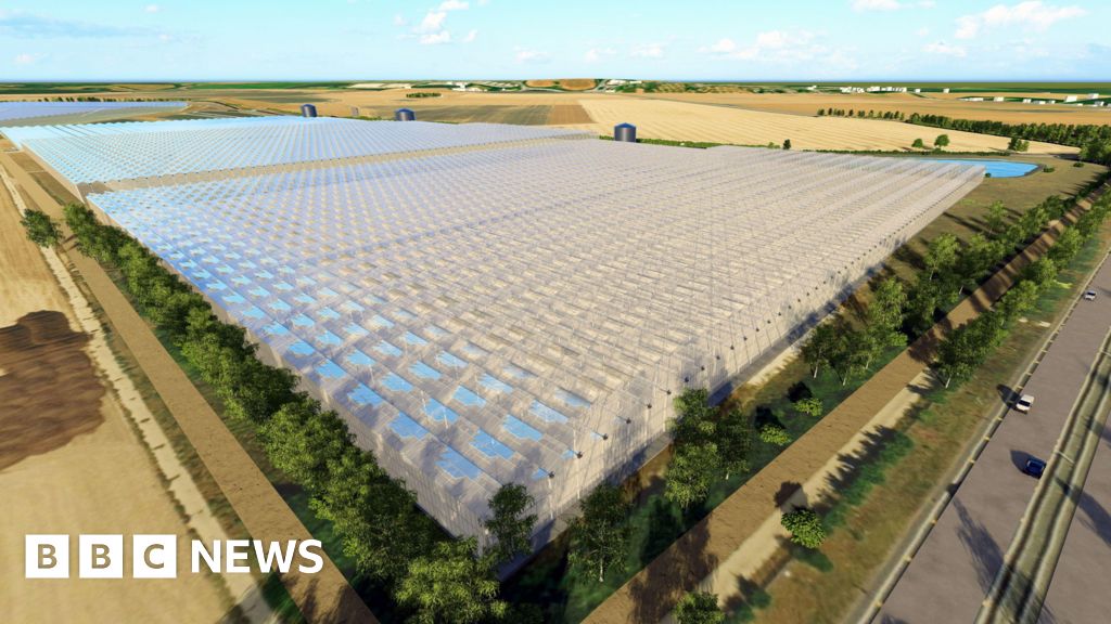 New £20m Thanet Earth glasshouse to grow 150m tomatoes a year