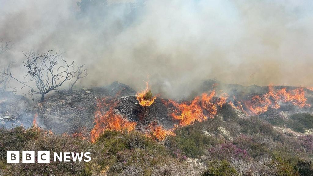 Deliberate Fire Engulfs Bournemouth Clifftop, 40 Firefighters Respond
