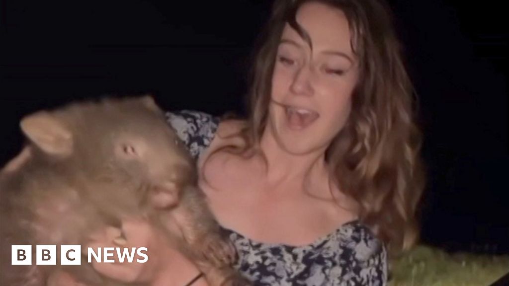 'For holding a wombat, thousands threatened my life'