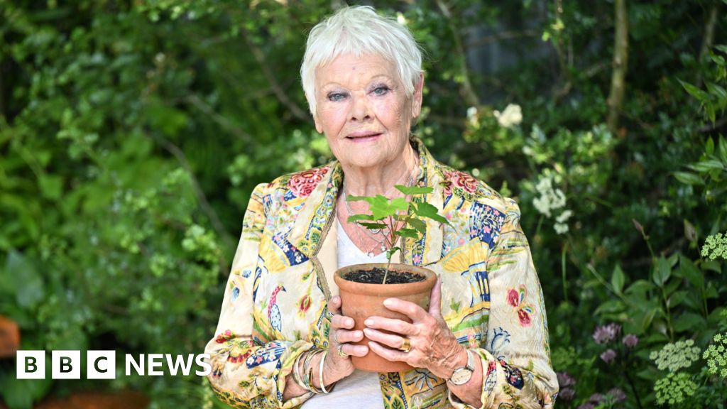 Dame Judi Dench Celebrates 90th Birthday