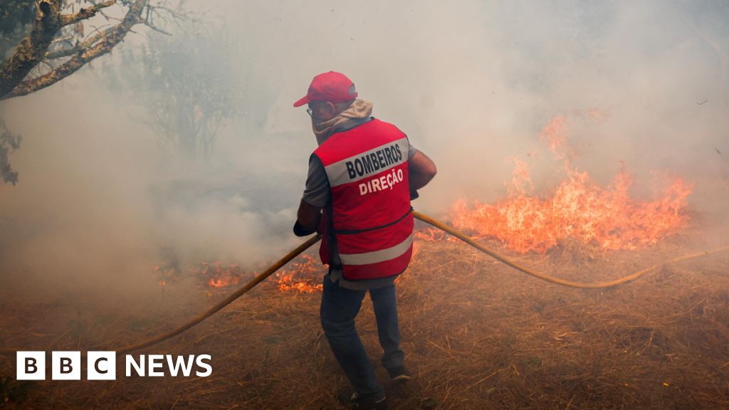 EU firefighting planes to help tackle Portugal wildfires