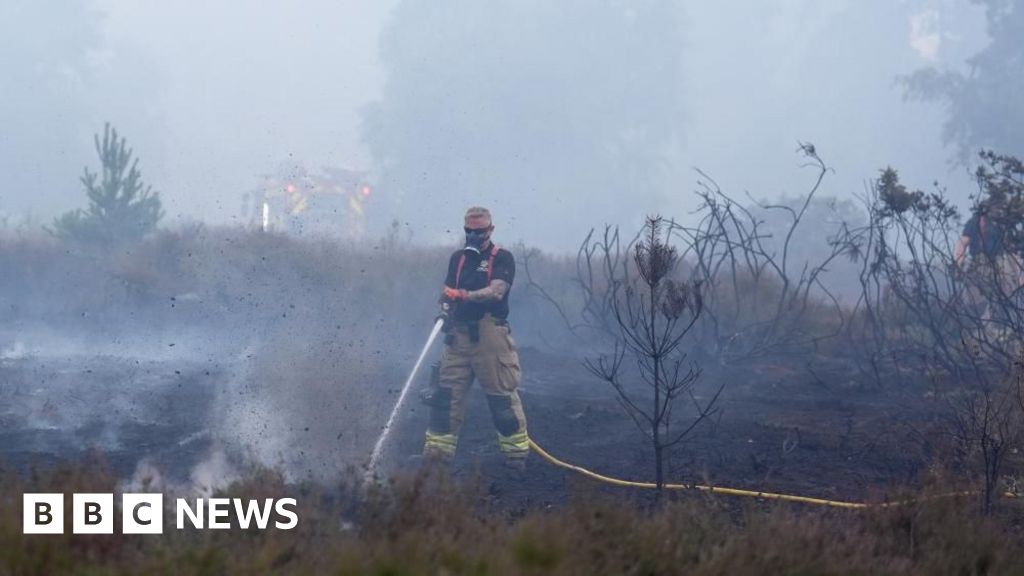 Firefighters battle large wildfire at Dunwich Heath in Suffolk as situation stabilizes; 12 fire engines remain on scene.
