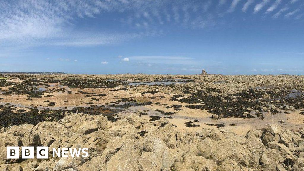 Ice Age exploration to take place in Jersey - BBC News