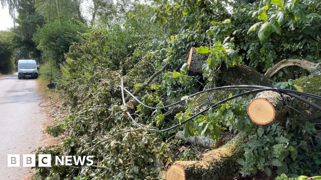 Pub and shop in Norfolk village in trouble: tree knocks down telephone line