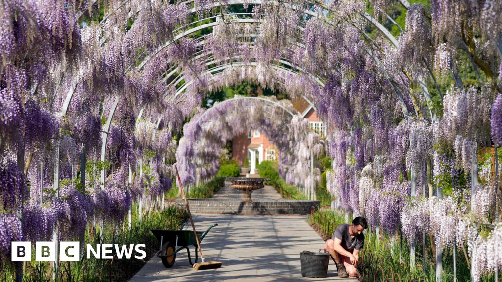 bbc.co.uk - Daniel Sexton - RHS unveils emergency plans to future-proof gardens for drought - BBC News