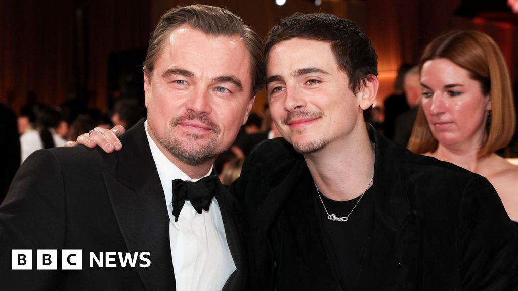 Chalamet beats DiCaprio to Golden Globes glory