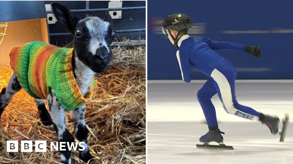 Inspiring Acts of Kindness Shine Through in Yorkshire