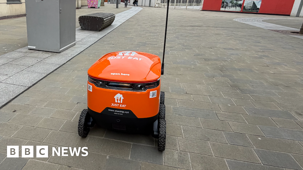 bbc.co.uk - Marcus Boothe  - Just Eat's delivery robots spark concern after dog incident