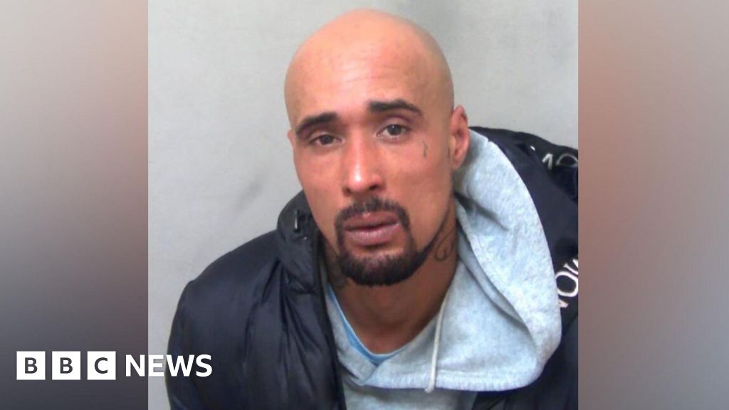 Jaywick XL bully owner jailed for fatal attack on mother-in-law