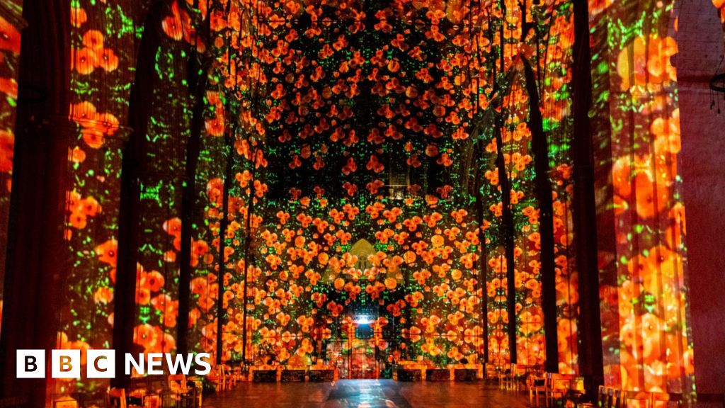 St Albans Cathedral nave filled with projected images of poppies