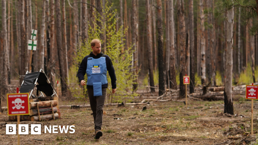 Trump says he speaks 'for the UK more than Prince Harry'