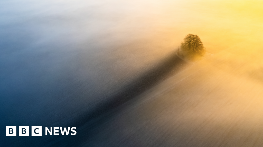 Image of Wittenham Clumps on a misty morning wins drone photography award