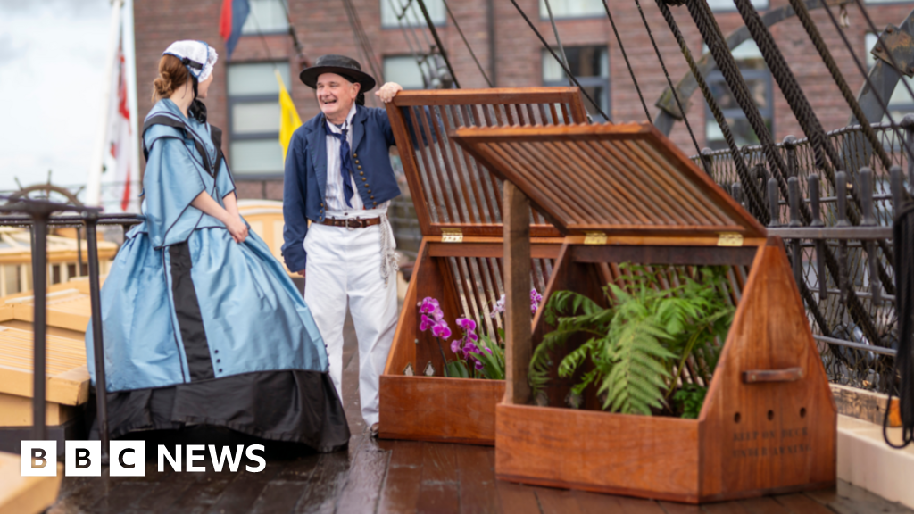 First tropical plants return to SS Great Britain in 150 years