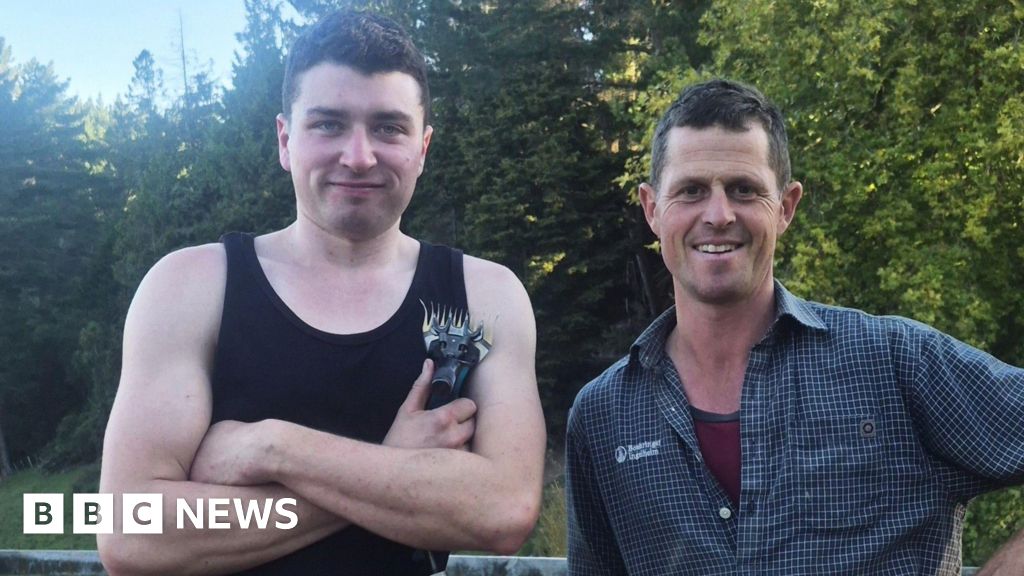 'Demand for visas will keep shearers away - and cause harm to sheep'