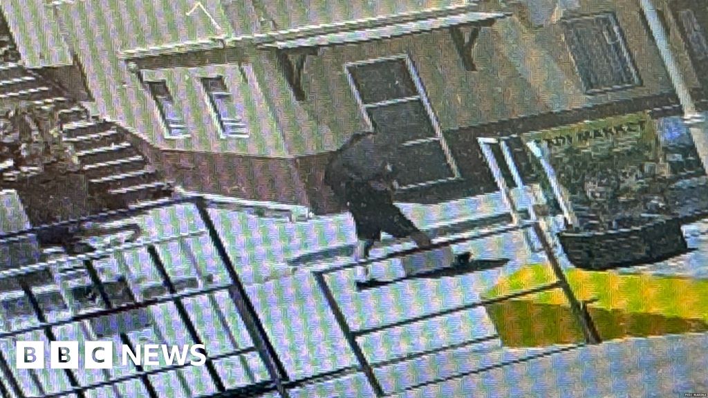 Man thought to be Michael Mosley on CCTV