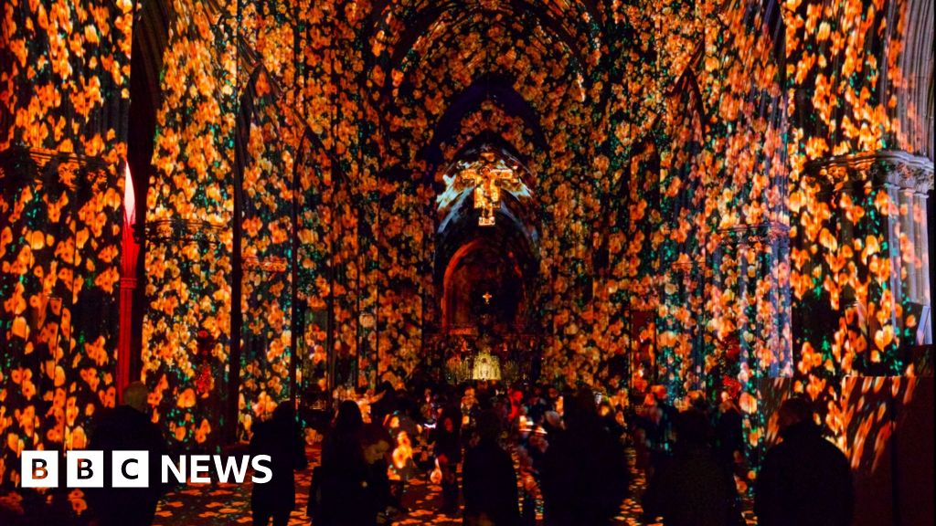 Winchester Light show to fill cathedral with sea of poppies BBC News