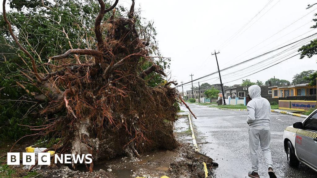 Windows blown in, trees uprooted and croc warnings - Hurricane Melissa batters Jamaica